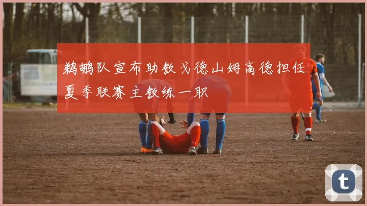 鹈鹕队宣布助教戈德山姆高德担任夏季联赛主教练一职