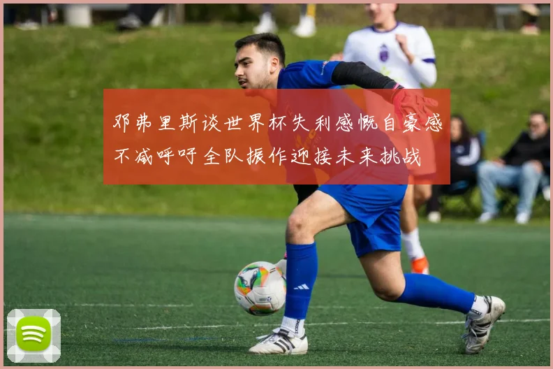 邓弗里斯谈世界杯失利感慨自豪感不减呼吁全队振作迎接未来挑战
